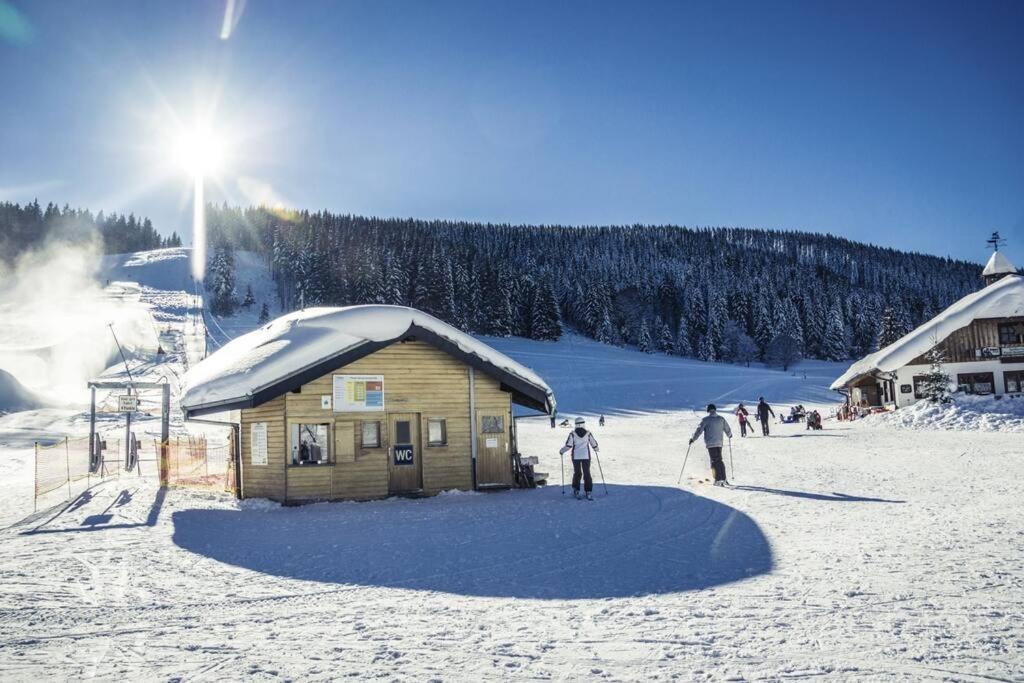 Apartement Nathalie - Wellness Mit Pool Und Sauna Schluchsee Kültér fotó